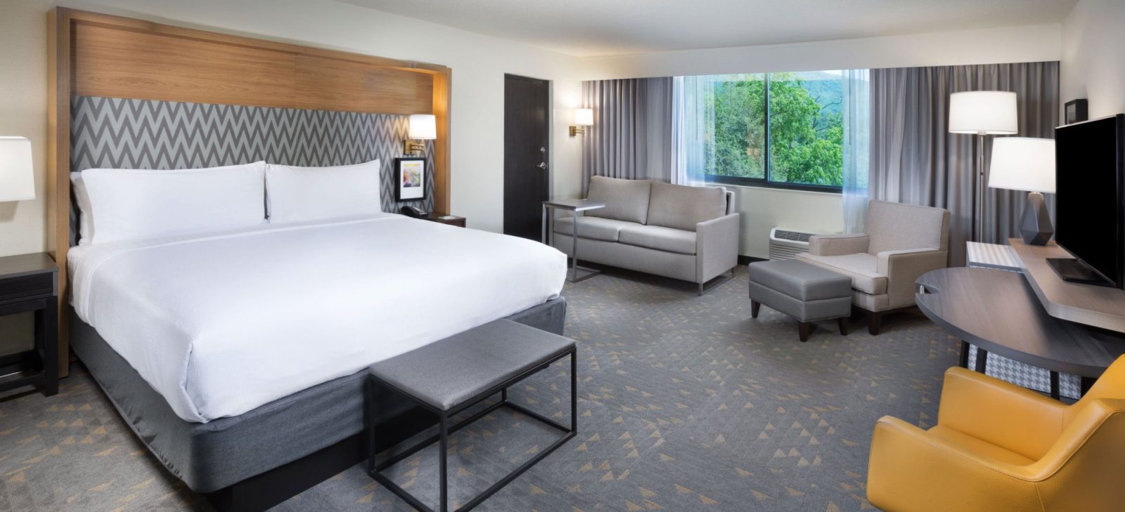 asheville holiday inn