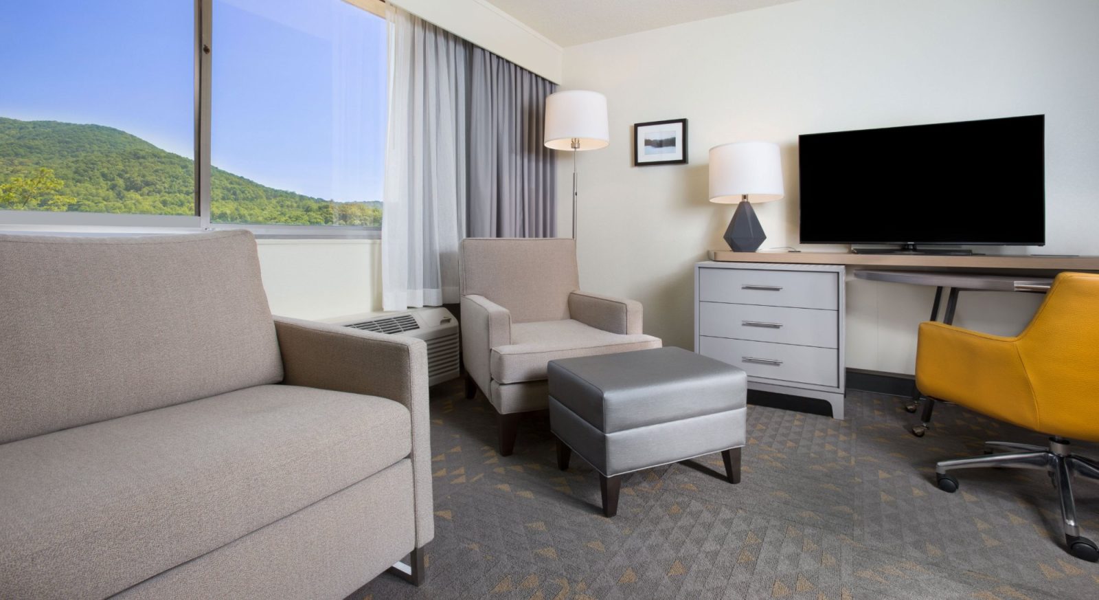 asheville holiday inn