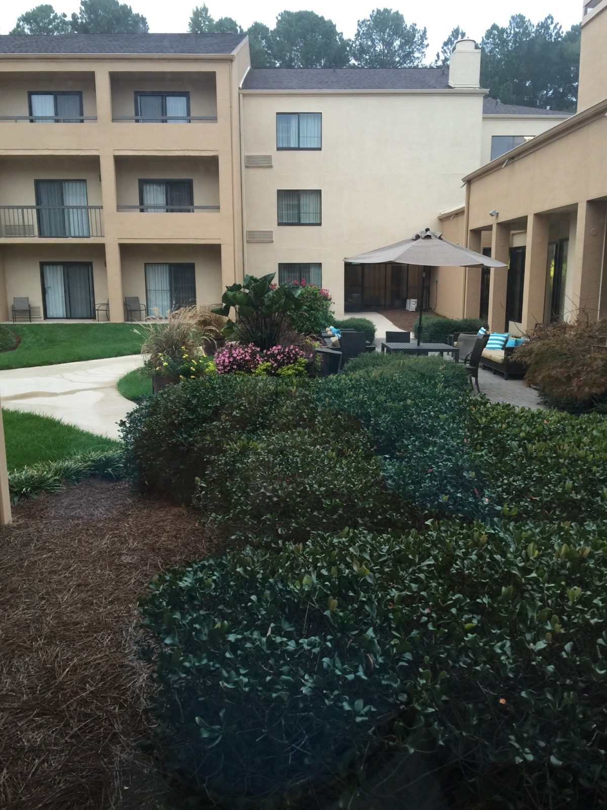 courtyard raleigh cary hotel cary