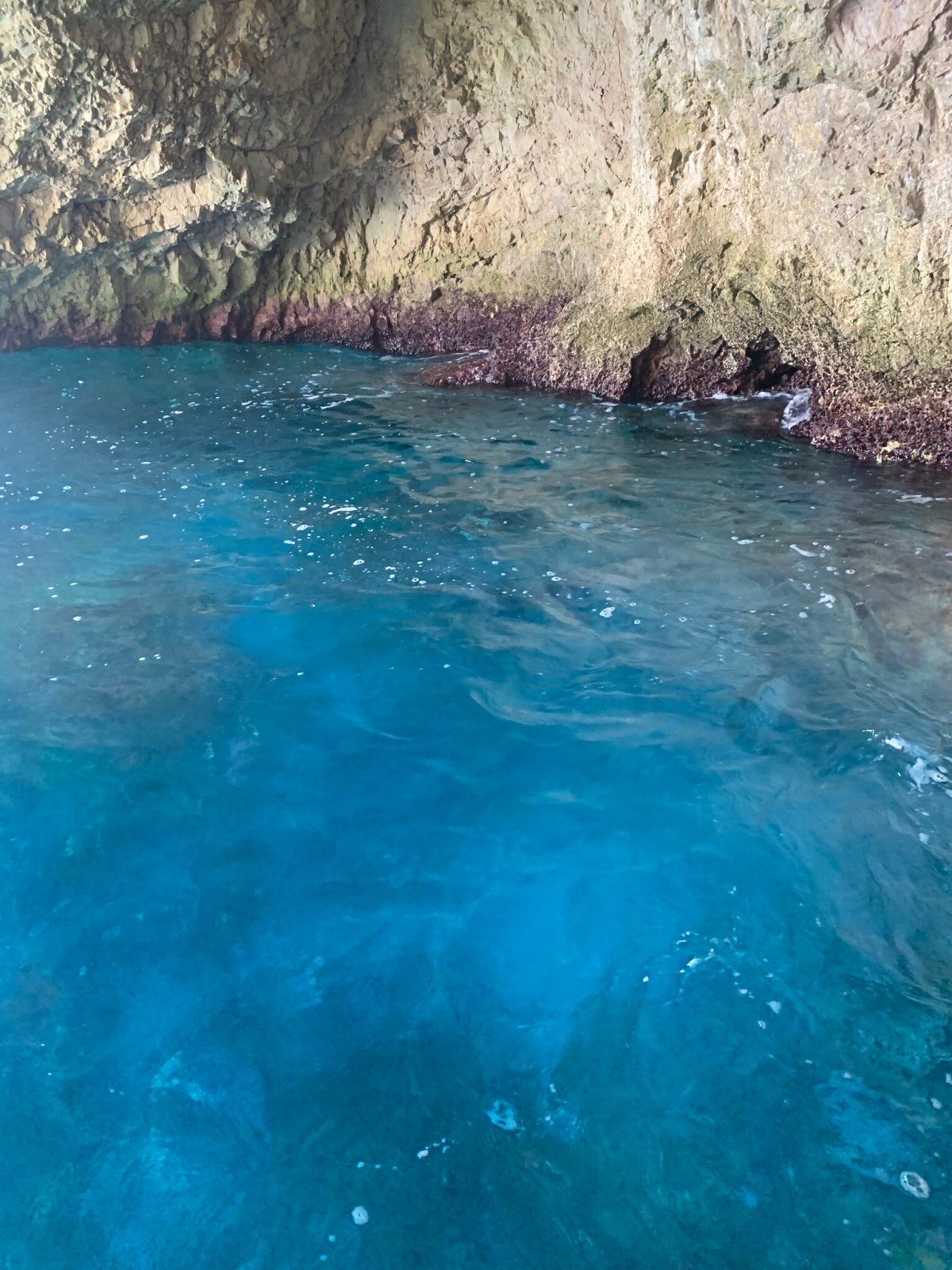 Zakynthos Sea Gems