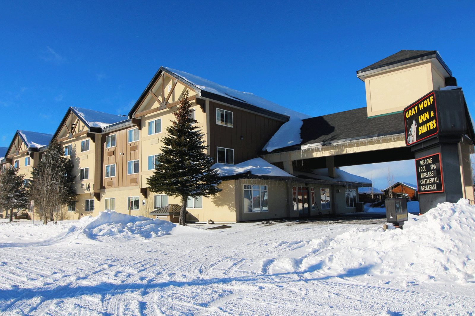 gray wolf hotel west yellowstone