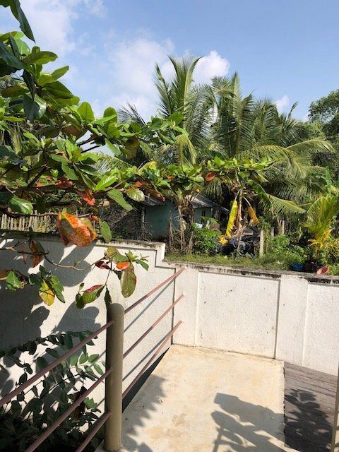 Mass Eco Cabana Yoga & Spa - Unawatuna